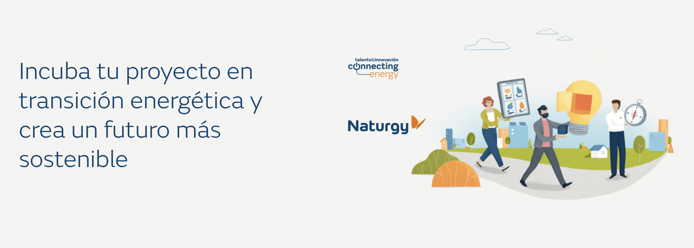 PROGRAMA NATURGY